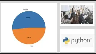 Creating Pie Chart by Using Python Matplotlib | Analyzing Student Performance Dataset