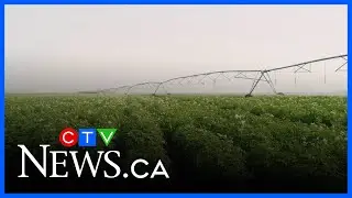 Project producing positive outcomes for Lake Winnipeg Basin