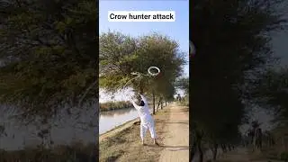 crow hunter attack#crow#reels#attitude#hunter #hunting#bugoutbag #short#fyp#ruger#villagelife