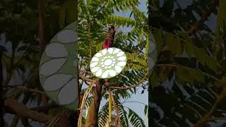 small mirror mosaic art😇 #lippanart #viral #views #highlights #viralvideo #video