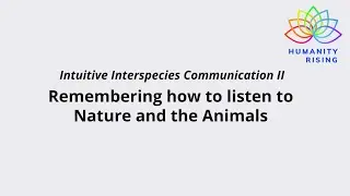 Humanity Rising Day 919: IIC II: Remembering how to listen to Nature and the Animals