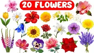Flower Names for Kids | Learn 20 Flowers Name in English with Pictures | Kids Vocabulary Learning 🌸🌷