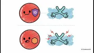 Introduction of Blood, Blood transfusion, Blood group and compatibility 