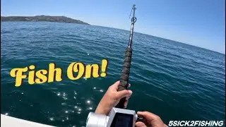 Penn Electric Reel / Rock Fishing / Catalina Island #fishing #oceanfishing #boatfishing #adventure