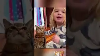 The Weekly Pawcast n&deg;34