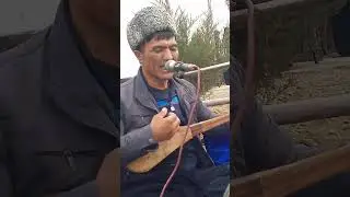 Qobil baxshi termalari 