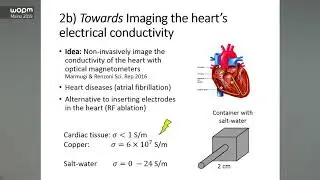 WOPM 2019 - 06 &ndash; Prof. Kasper Jensen - Optically pumped magnetometer for biomedical applications