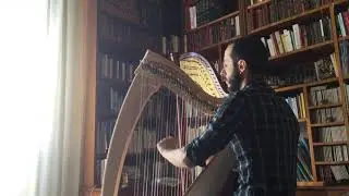 River Flows in You (Yiruma) - Fabio Rizza (Arpa Celtica)