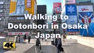 4k - 오사카 도톤보리에서 난바역까지 걷기_Dotonbori to Namba, Osaka