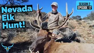 Late Season Bull Hunt - This Hunt Pushed our Limits