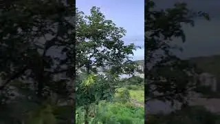 Early Morning (6:30) in Hinjewadi phase 2, Pune #maharashtra #august2021 #morningvibes #blissful