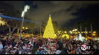 HIALEAH 2025 ENCENDIDO DEL ARBOL