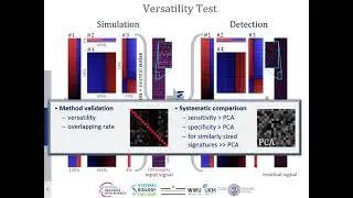 SDCM: Revealing nonlinear signatures of interactions in heterogeneous high-dimensional measurements