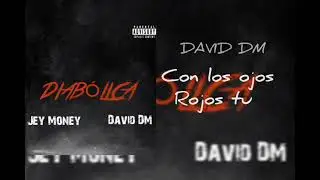 Diab&oacute;lica - Jey Money ❌ David DM (Video liryc)