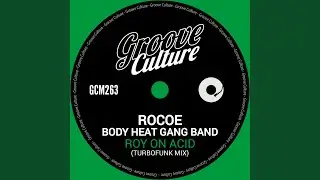 Roy On Acid (Turbofunk Extended Mix)