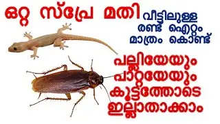 വീട്ടിലുള്ള രണ്ട് ഐറ്റം മതി പല്ലിയേയും പാറ്റയേയും ഓടിക്കാം | How to remove lizards and Cockroach