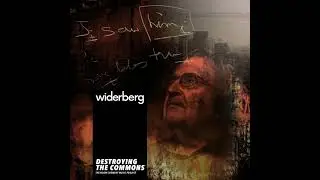 widerberg - Destroying the Commons | The Noam Chomsky Music Project