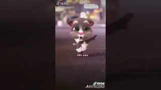 Talk Tom Dance Cate Sayang Sayang #talkingtom #tiktok #short #shorts