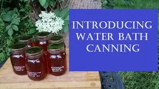 Introduction to Water Bath Canning (Boiling Water Canning)