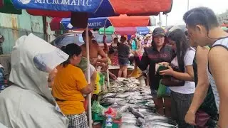 GRABE TALANGKA 50 PESOS AT HIPON 100 PESOS TUMPOK AT ISDANG BATO MADAMI NA #malabon #tardunztv #fyp 