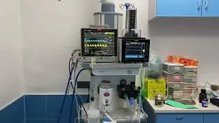 Vetcare veterinary anesthesia machne, veterinary ventilator and veterinay monitor