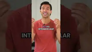 3 Biggest Creatine Myths&hellip; BUSTED! (For Women Over 40)