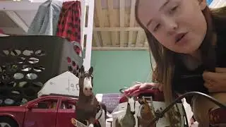 Part 3 of building my horse trailer ending.