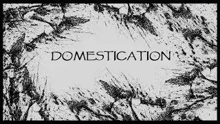 Human domestication, when man becomes dog.