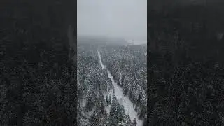 Полёт над зимним лесом
