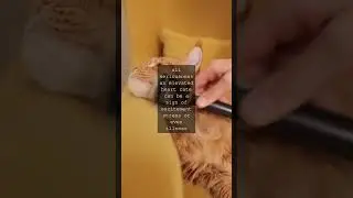 Whisker Watch Keeping Your Feline Friends Pulse in CheckAs cat lovers we know that our...