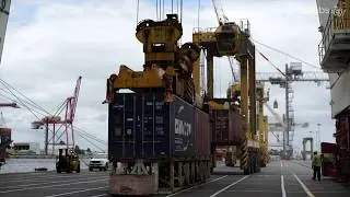 CM Labs Customer Review | Vortex Simulators Review | DP World Melbourne | CM Labs Simulations