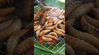 Roasted sago worms are very nutritious and nutritious @streetflavor-ai