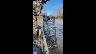 Running Nets