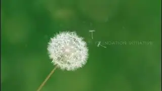 One World Foundation, Golaghat, Assam- NGO Short Intro video.
