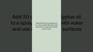 Disinfect Your Home Naturally | Eucalyptus Essential Oil