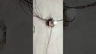 #electrical #life #song #viralvideo #sot #videoshort