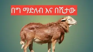 በግ ማድለብ እና በሺታው 