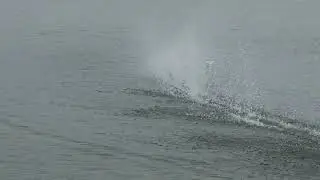 Poseidon 33 RC Out-Rigger on 4s Li-Po battery