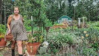 Growing and Harvesting a Cottage Garden | Planting, Building & Putting Up the First Harvest