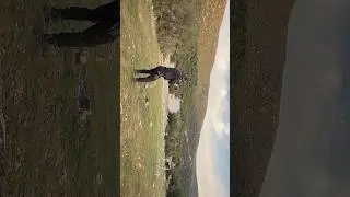 TACTICAL TRAINING #tacticalshooting #military #shotgun #shooter
