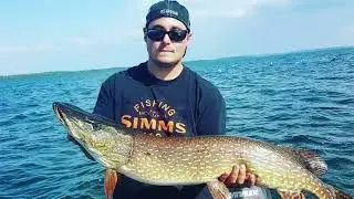 MONSTER PIKE - Winefred Lake, Alberta July 2017