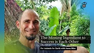 The Missing Ingredient to Success is Each Other