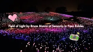 Field of Light by Bruce Munro at Sensorio Art Center in Paso Robles 🌻4K (music only, no narration)