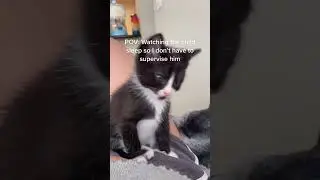 Pov: a tiny kitten guards a sleeping child.#cutekitten #sleepypet #adorable #catsoftiktok