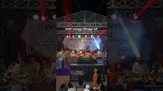 #habibidrus