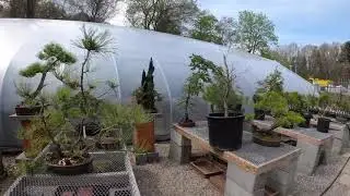 Bonsai West: Garden Time Lapse