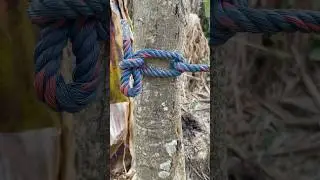 Useful Rope Skill! #music #shorts
