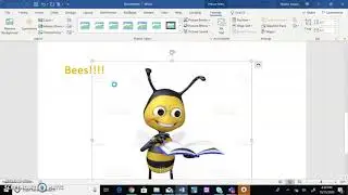 Picture Tools in Word