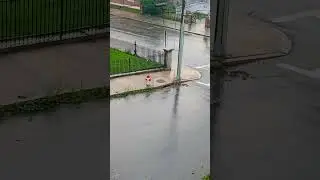 Leaves blocking storm drain causing street flooding violating a city ordinance #violation