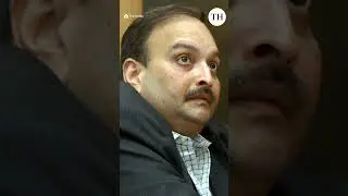 Бельгийский суд одобрил экстрадицию беглого ювелира Мехула Чокши